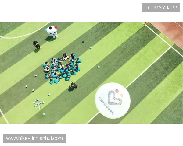 跳动的星辰 足球场上的传奇人物与不朽梦想